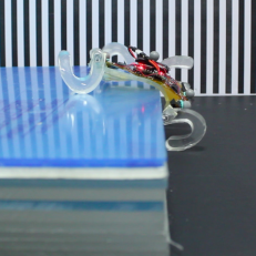 Bilkent Miniature Robotics Laboratorys soft and miniature robot SQuad featured in the news!
